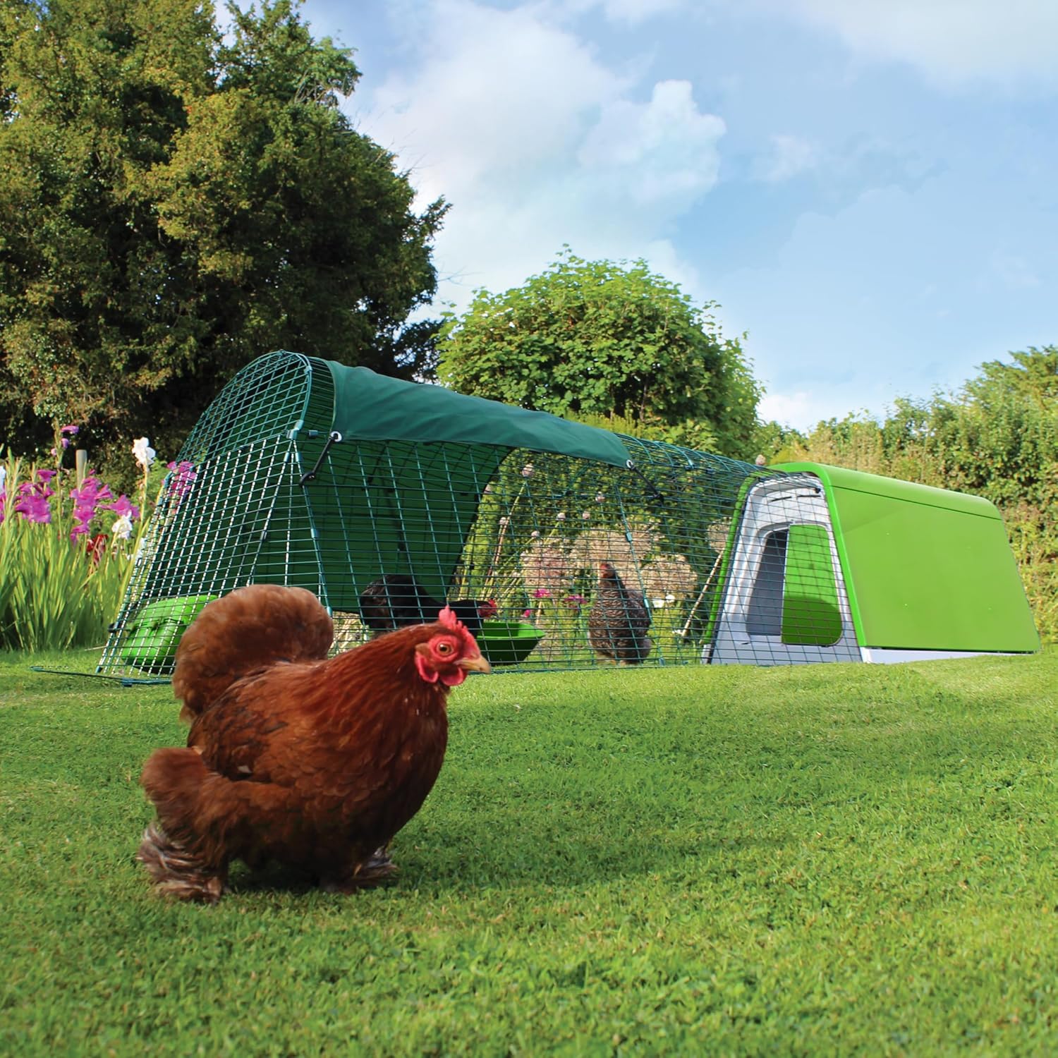 Omlet Eglu Go Chicken Coop - Image 8