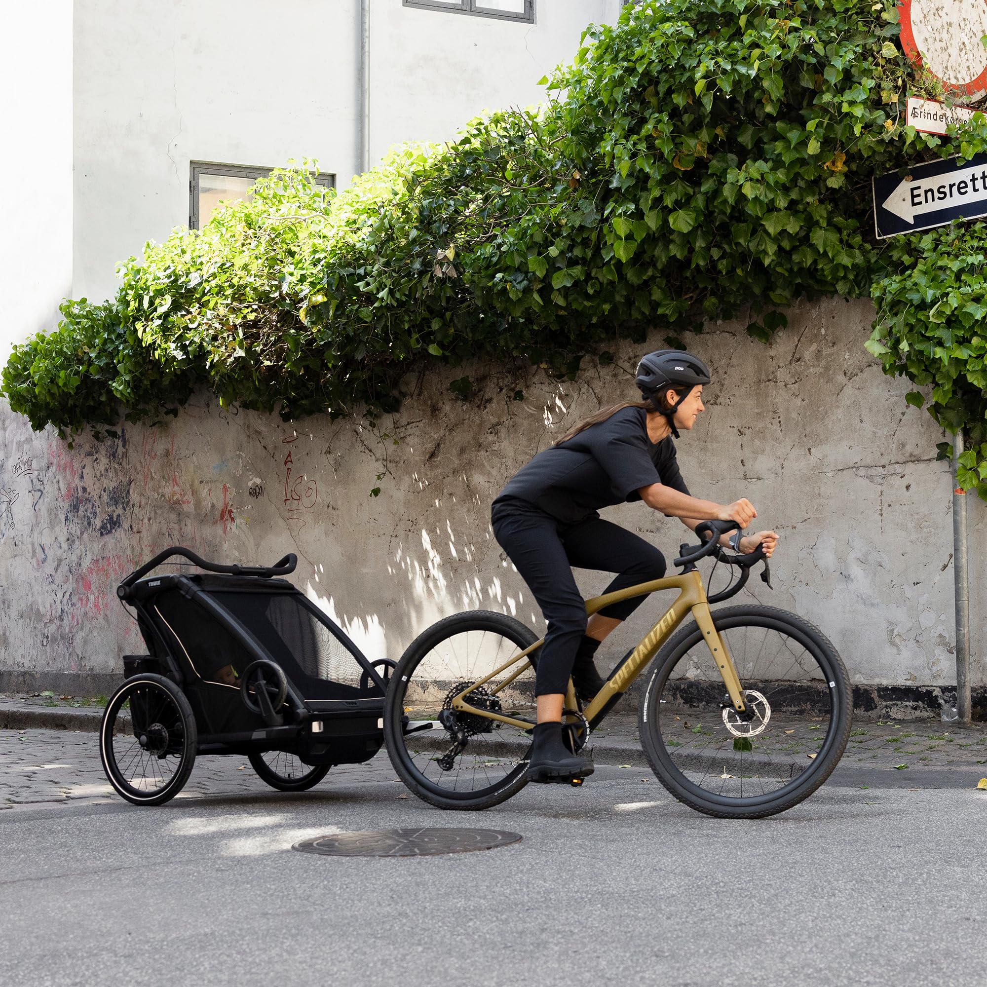 Thule Chariot Sport 2 Multisport-fahrradanhänger
