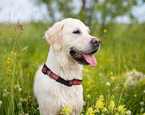 Miniatura 142 de Pets First Collar NHL para perros y gatos. Ajustable, lindo y elegante. ¡El mejor collar para fanáticos del hockey! Anaheim Ducks