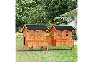 Premium Outdoor Chicken Coop with Nest Box