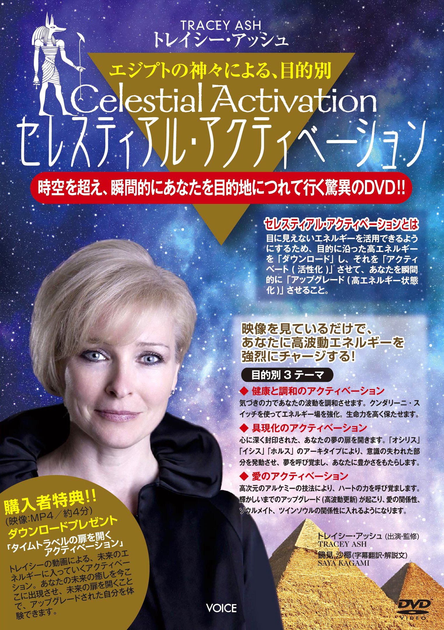 Amazon.co.jp: トレイシー・アッシュ (Tracey Ash): 本