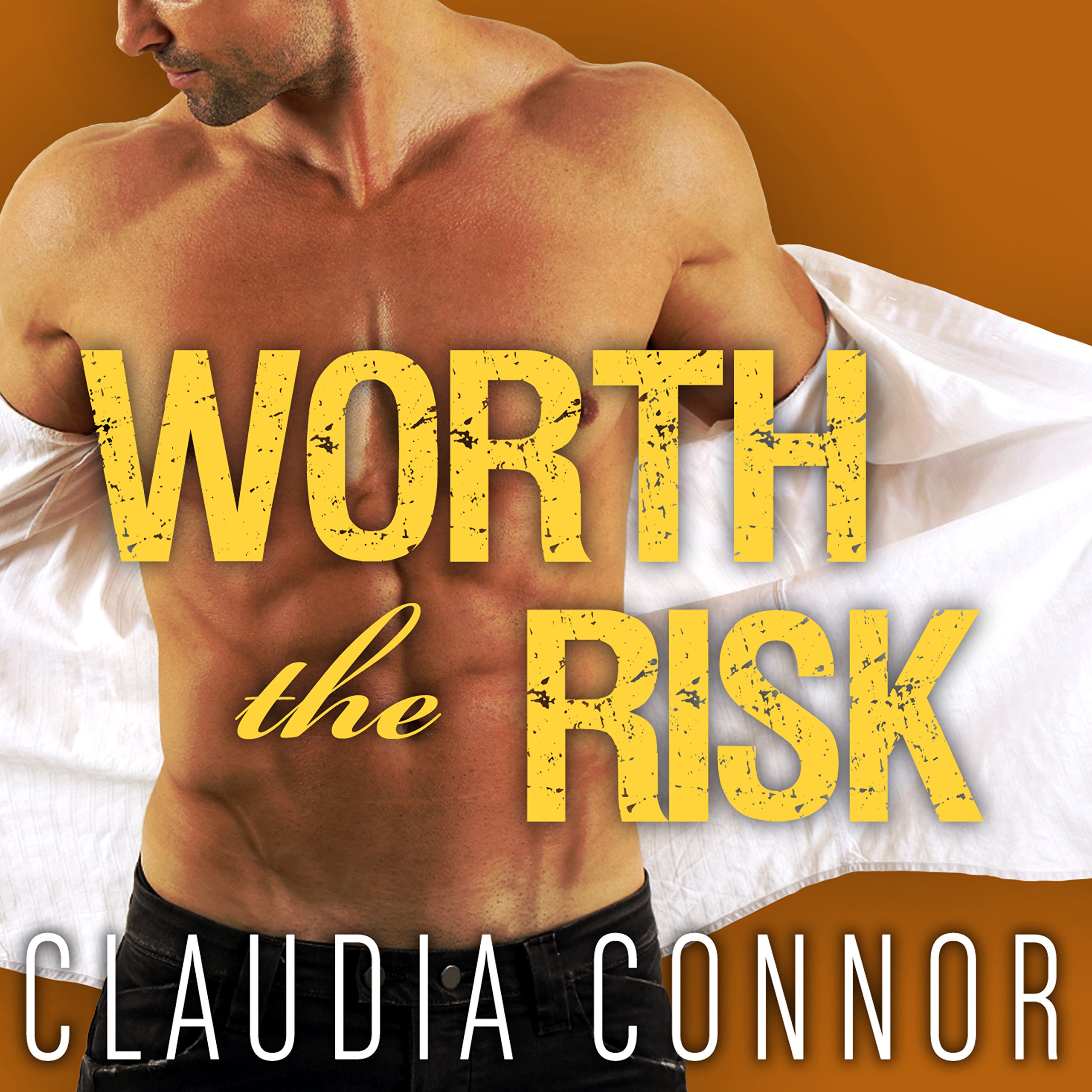 Cover art for Worth the Risk: McKinney Brothers, Book 2