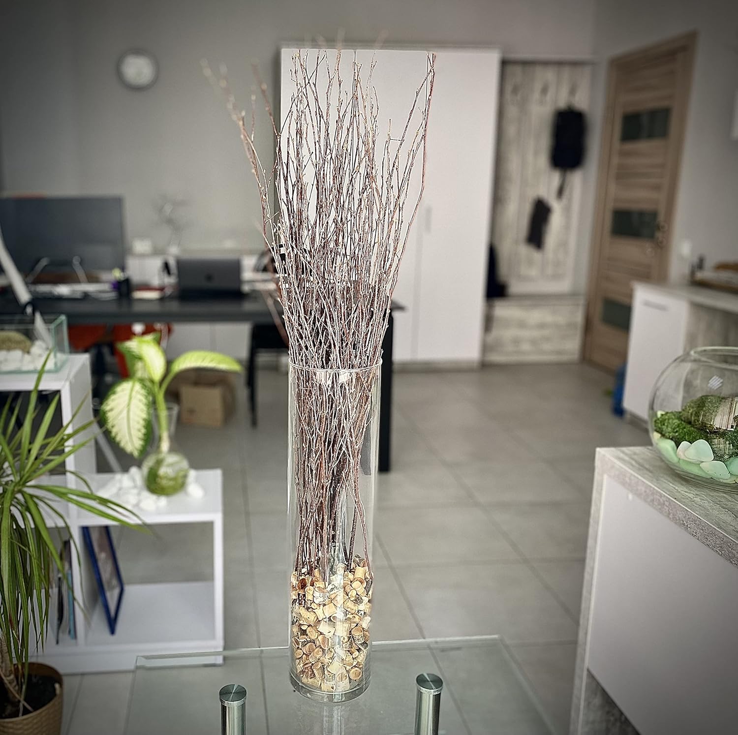 ECOVENIK 25 psc - Branches - 73 cm, Natural Birch Twigs, Pack of 20-25 Stems, Long for Floor vases, (Natural-Brown Color )