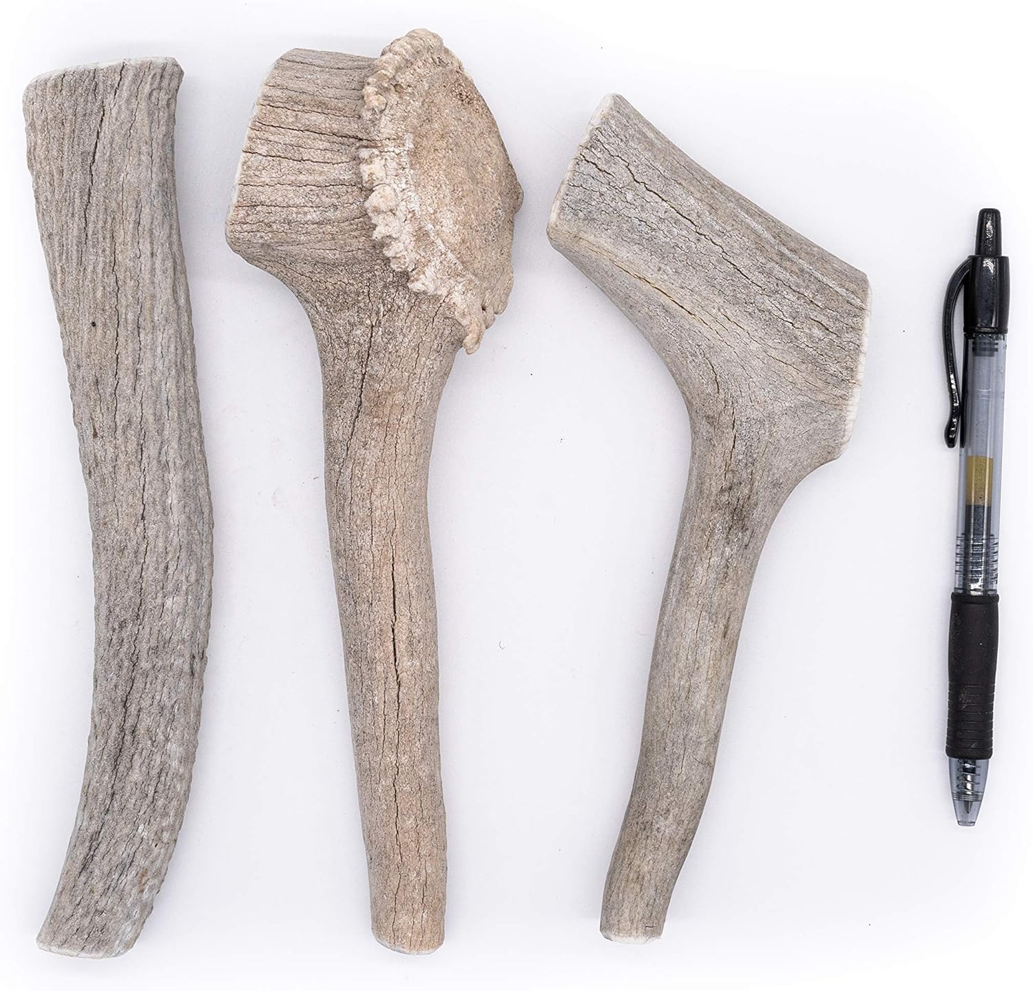 Perfect Pet Chews Economy Antler Dog Chew - Grade B-C, All Natural, Organic, Long Lasting Treats - Made from Naturally Shed Antlers in The USA - Large Treat - 3-Count Treat