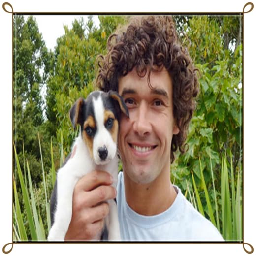 The perfect dog training system