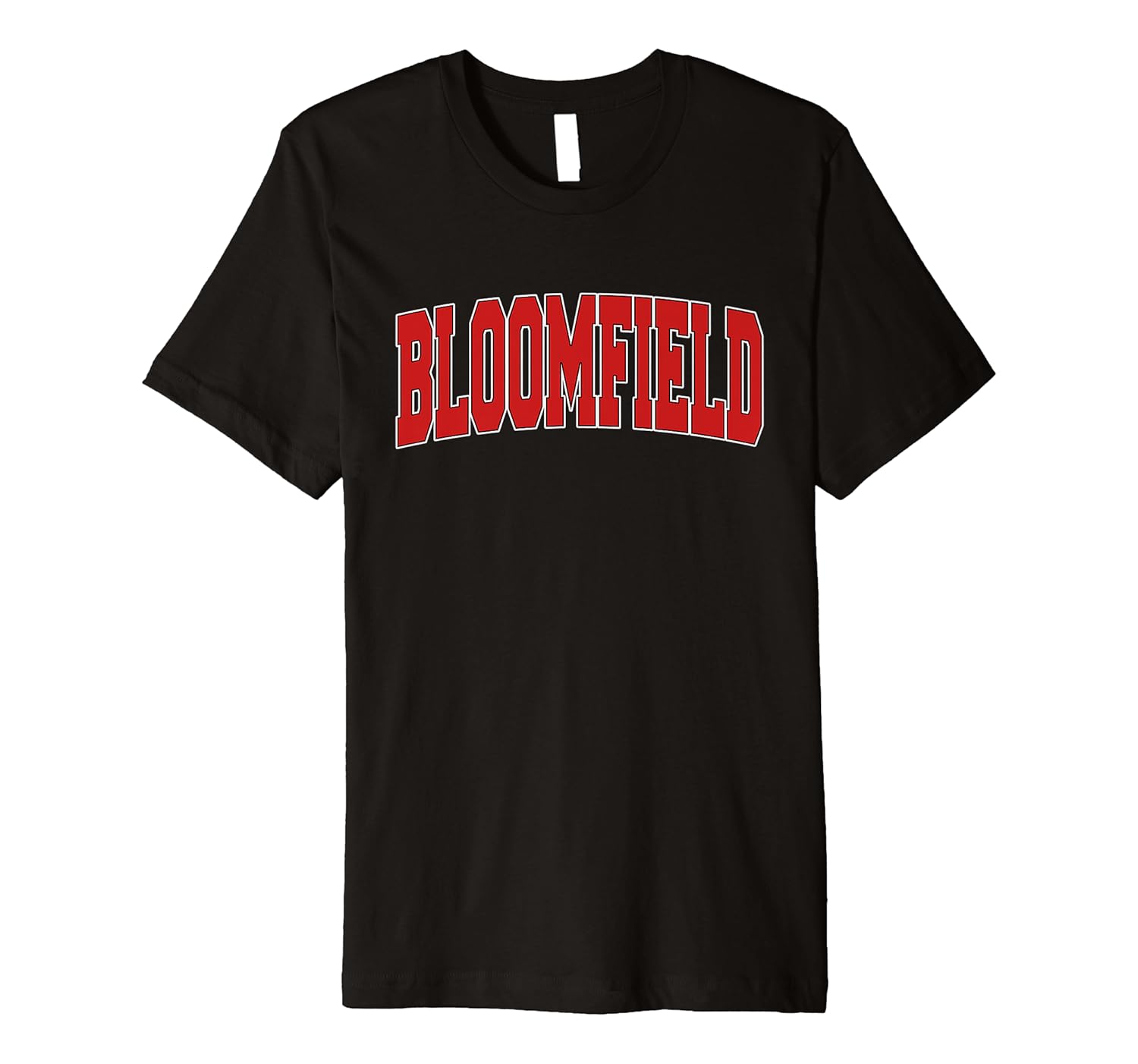 BLOOMFIELD NM NEW MEXICO Varsity Style USA Vintage Sports Premium T-Shirt