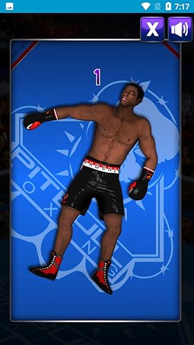 Furious Boxing