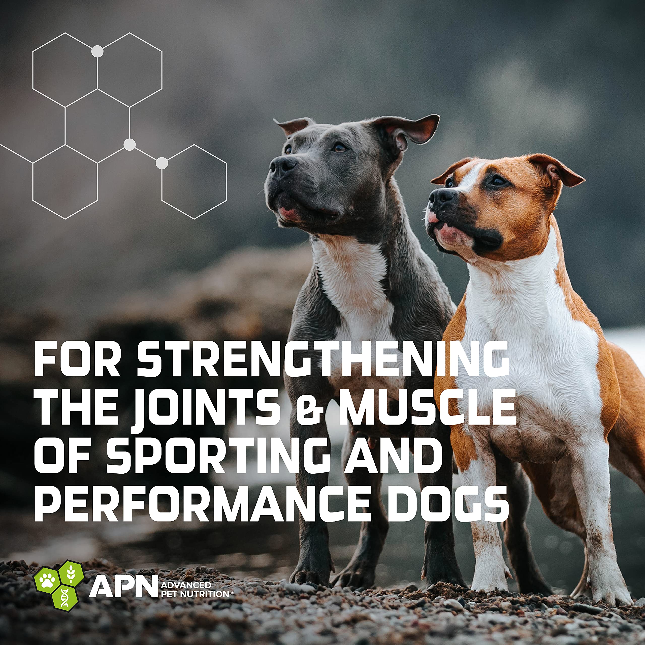 Joint & Muscle Care for Dogs Egg Membrane Formula Hip and Joint