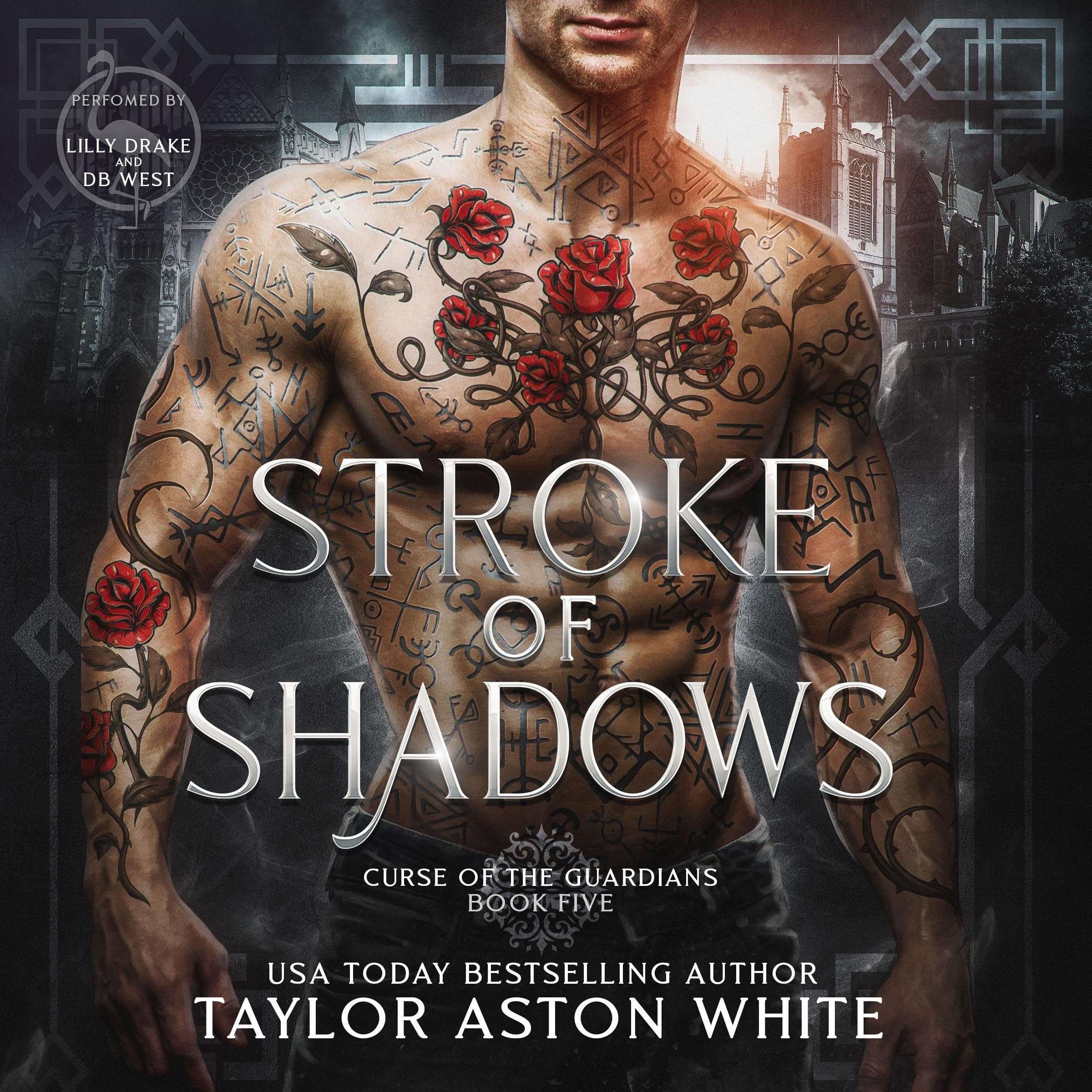 Cover art for Stroke of Shadows