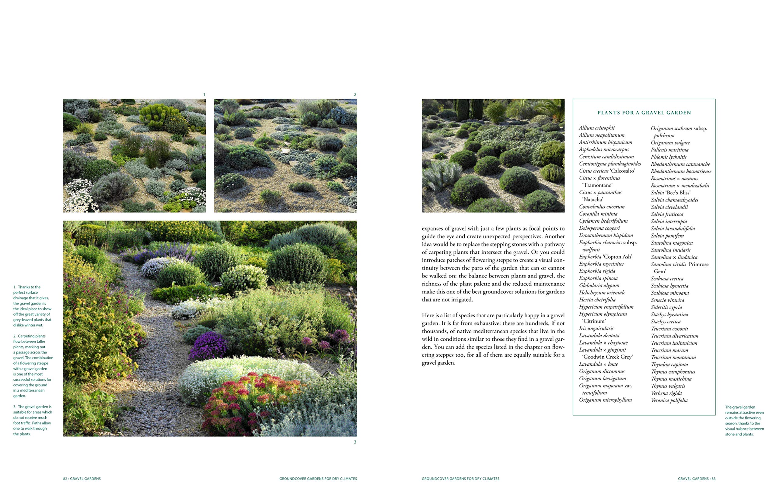 Planting Design for Dry Gardens: Beautiful, Resilient Groundcovers for Terraces, Paved Areas, Gravel and Other Alternatives to the Lawn