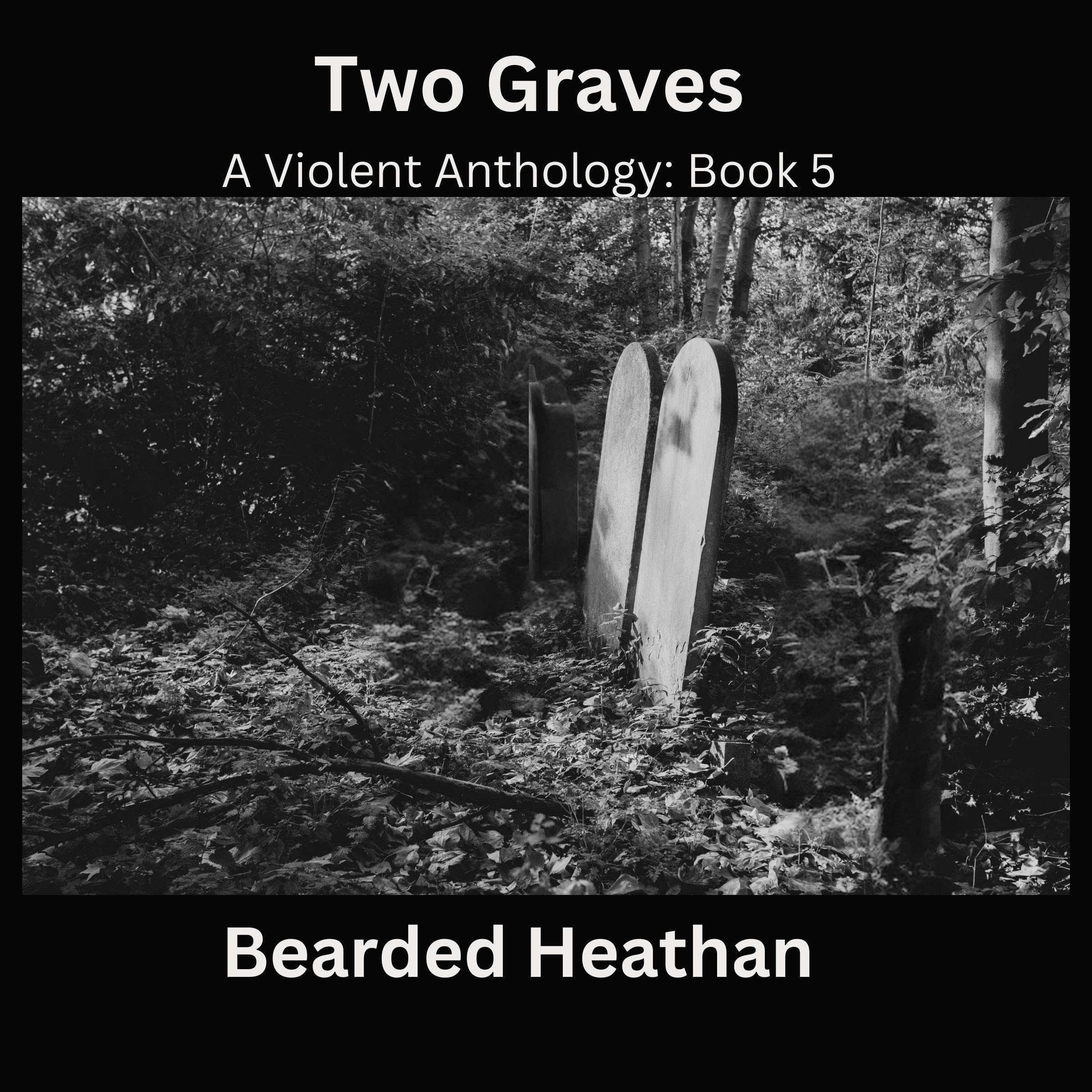 Cover art for Two Graves