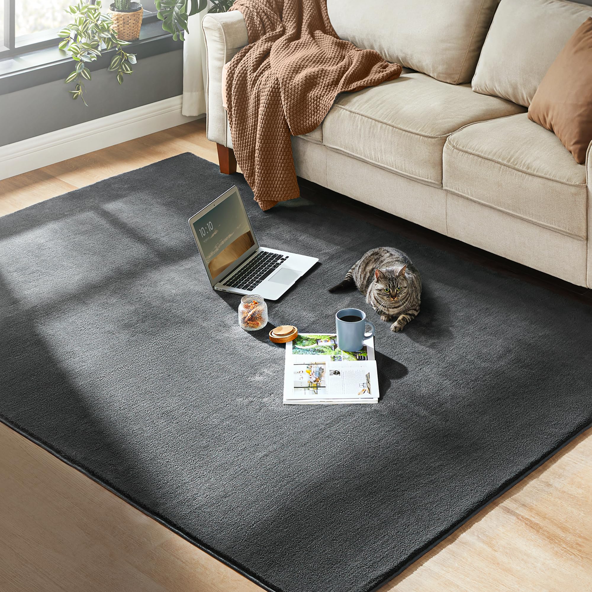 SIMPEX Tapis Blanc 160x220 Cm Tapis à Poils Courts Lavable, Doucement Antidérapant Et Design Monochrome Moderne Pour Salon, Chambre, Cuisine Et Chambre D'enfant