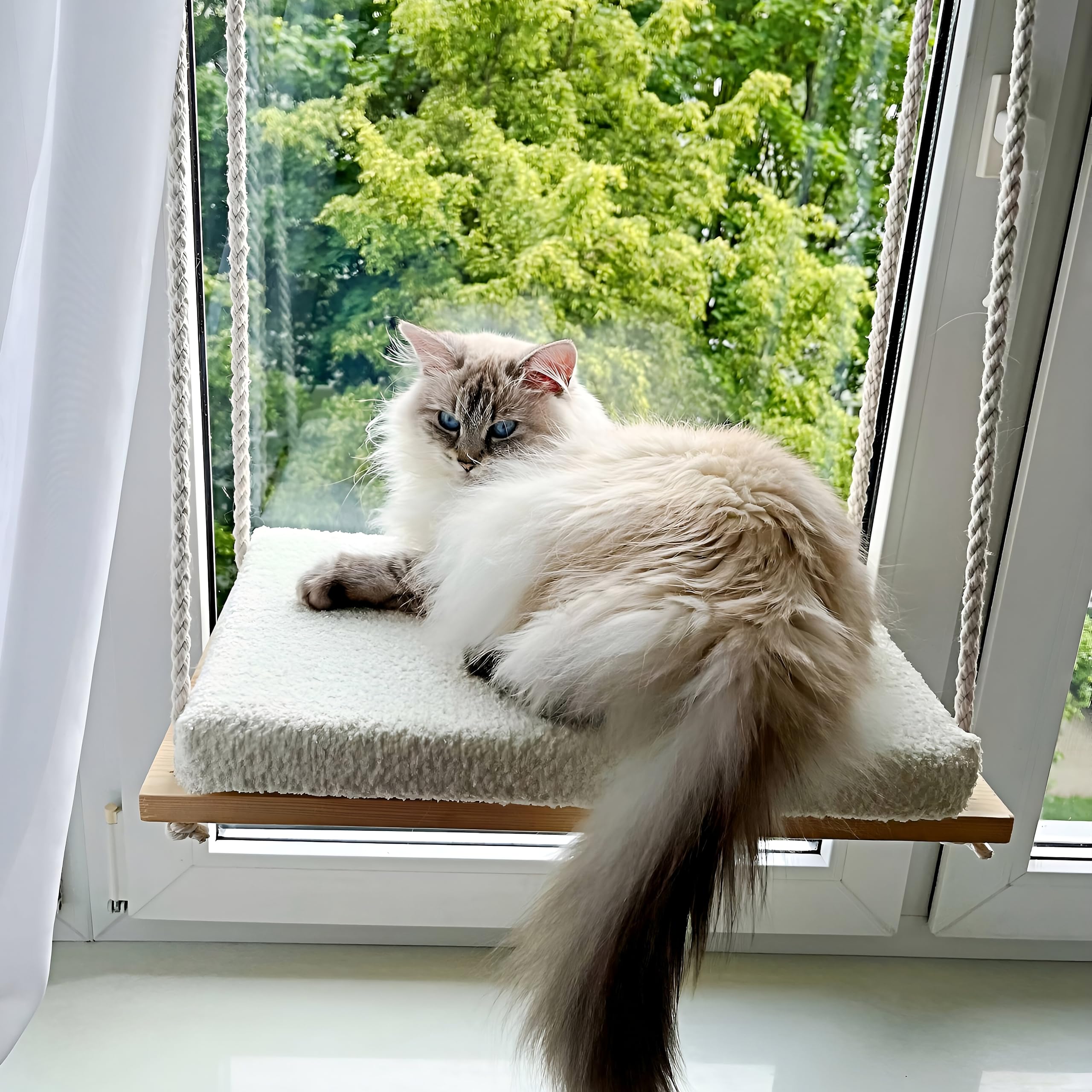 Hamaca Gato Ventana Colgante | Cama para Gatos Accesorios | Hamaca para Gatos | Cat Bed | Cama Gato Ventana | Hamaca Ventana Colgante | Cama Cao | Kittybay | Desk Cat Bed | Cama para felino