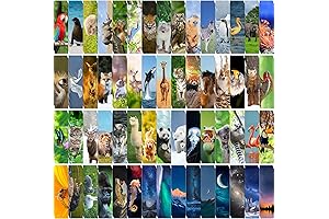 300PCS Animal Bulk Bookmarks for Kids Classroom