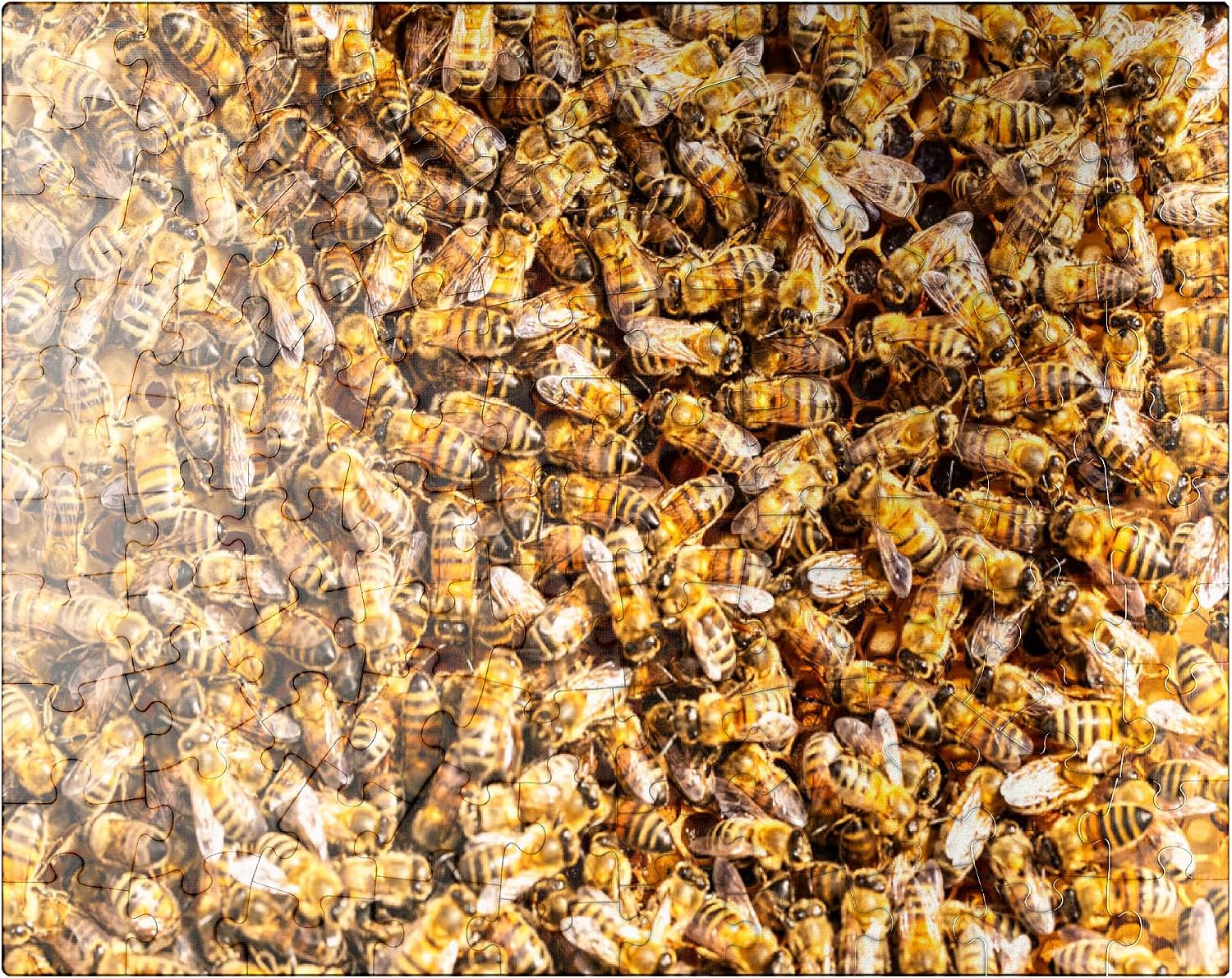 MyPuzzle Worker Honey Bees On A Frame from A Hive - Premium 500 Piece Jigsaw Puzzle for Adults