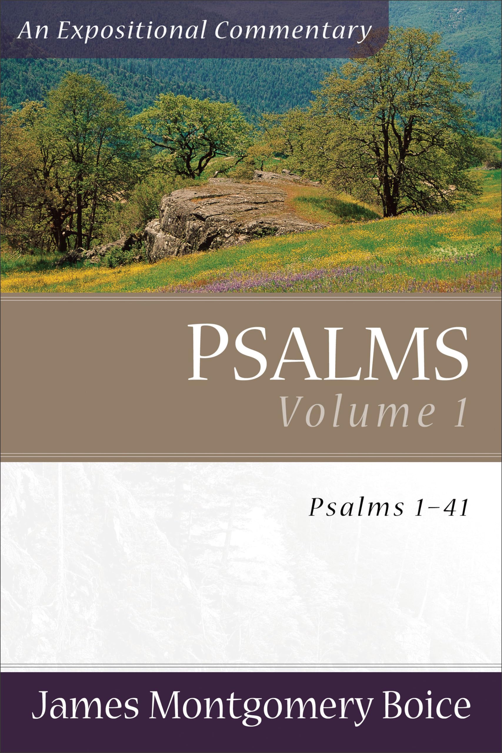 Psalms Voume 1: Psalms 1-41 (An Expositional Commentary)