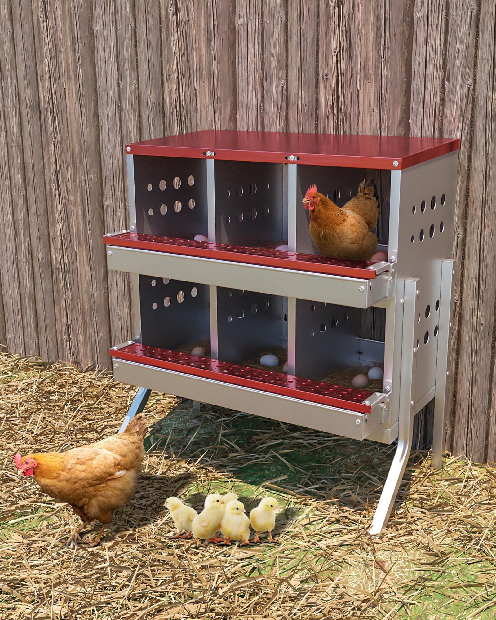 Nidal metálico para gallinas de 6 compartimentos con percha – Impermeable y resistente a la corrosión, ventilado, con diseño que facilita la recogida de huevos, para montaje en pared o de pie – Fácil