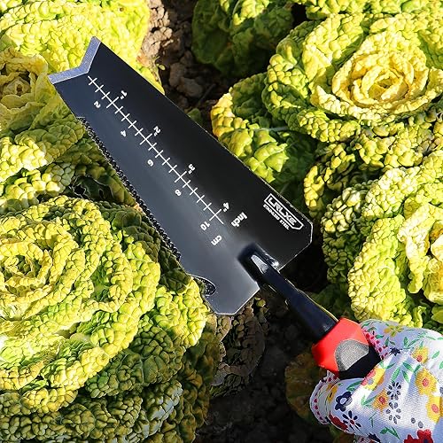 Miniatura 6 de Pala de jardinería, pala de trasplante de jardín de acero inoxidable resistente, cortador de raíces, pala de mano pequeña multiusos con borde