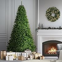 Vista 3 de Abeto National Tree North Valley