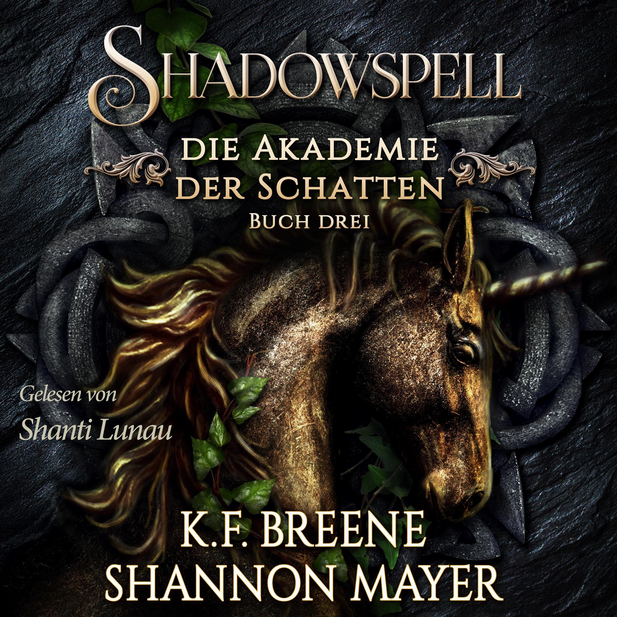 Cover art for Shadowspell 3 (German Edition)