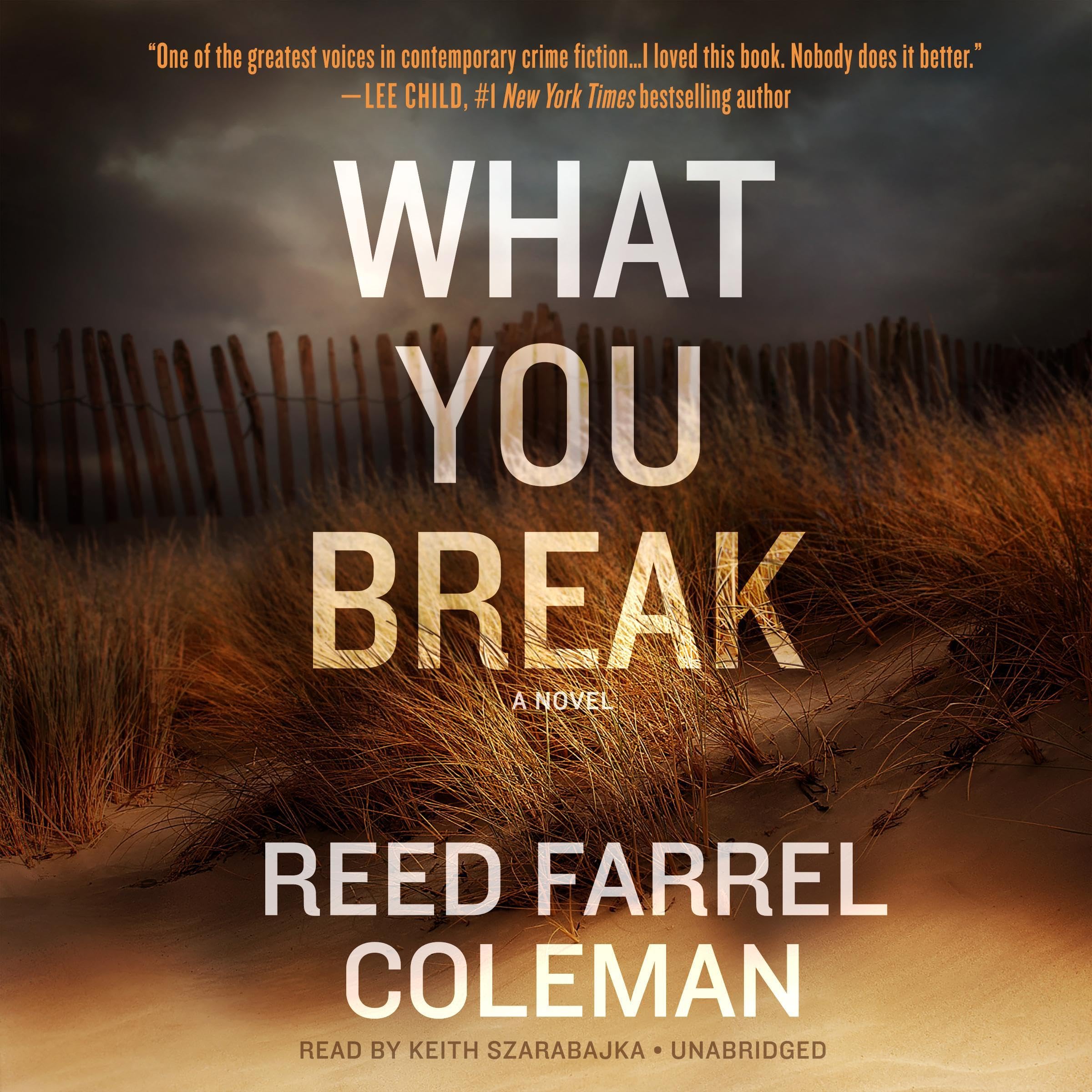 Cover art for What You Break