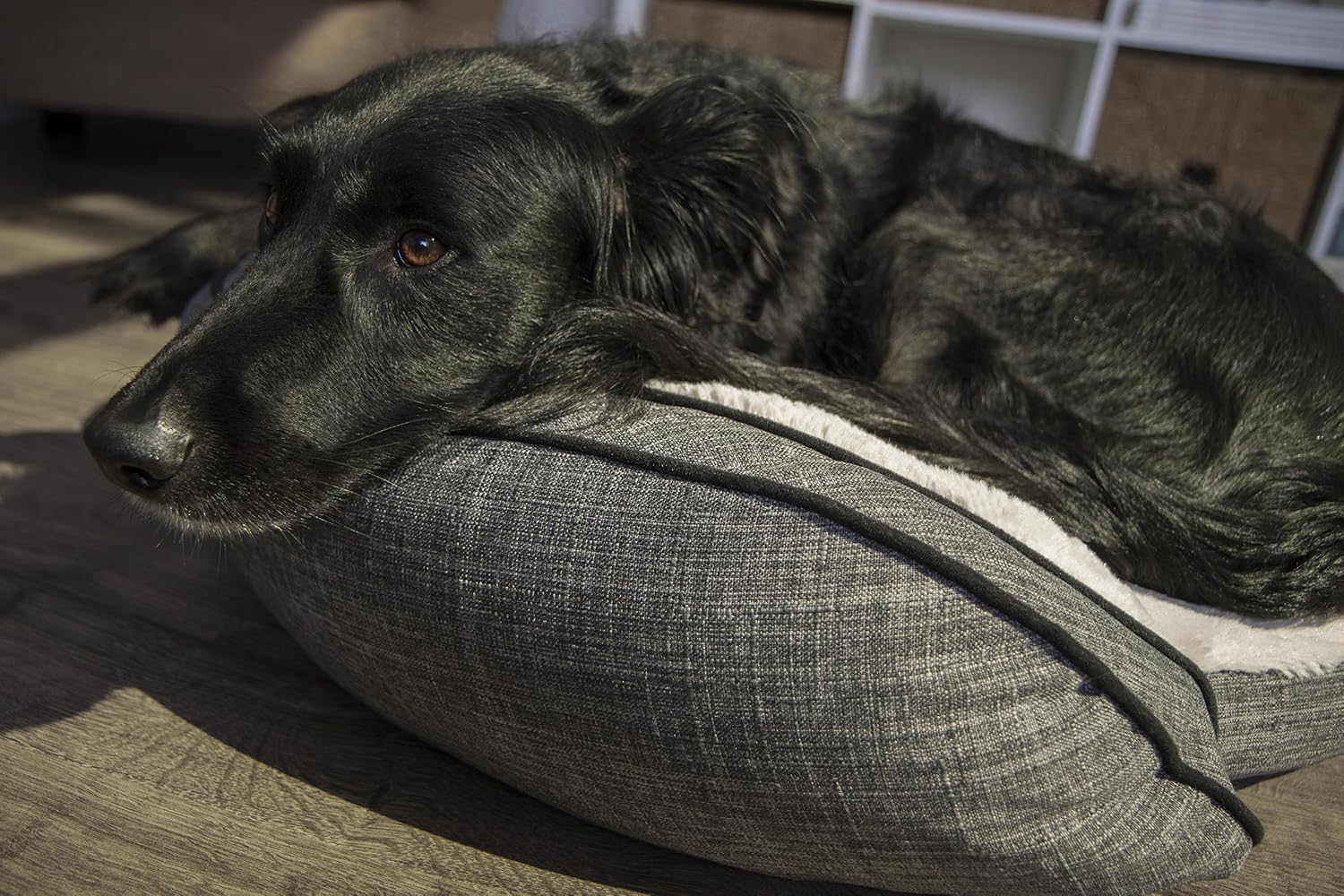 Sterling Premium Cooling Gel Memory Foam Pet Bed, Plush with Woven Linen, Gray (68243), Large