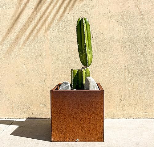 Miniatura 2 de DIY CARTEL Corten - Maceta de acero para exteriores, diseño rústico y moderno, cama grande de metal elevado para uso comercial y residencial (12 x