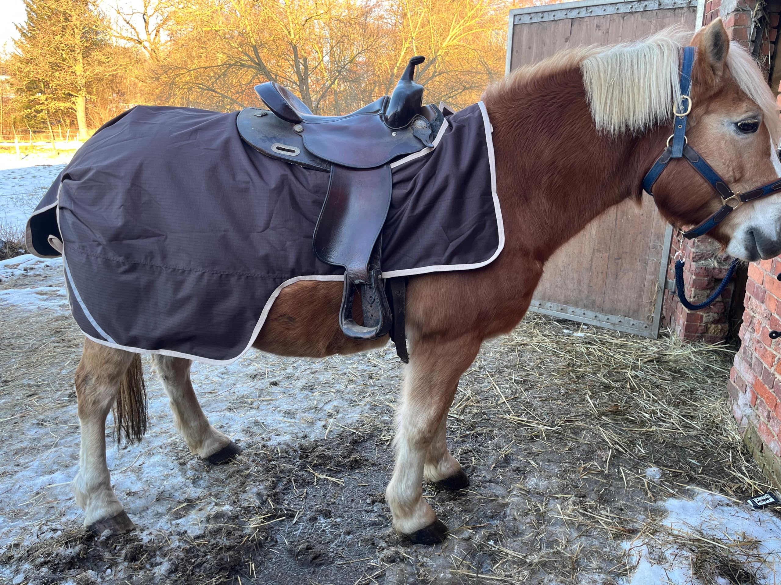 Brama-West 155 - Manta para montar a caballo con forro polar, impermeable, resistente al viento y transpirable, para caballo occidental e inglés, color marrón