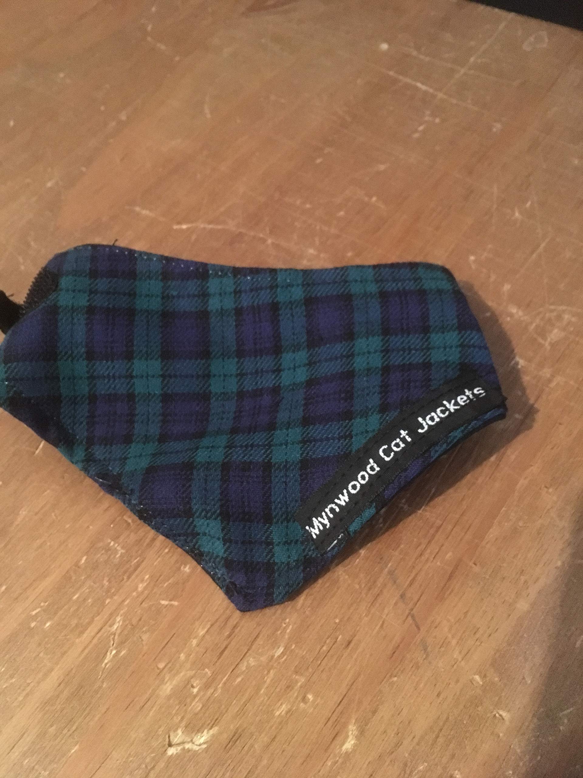 Mynwood Cat Jacket Bandana (Black Watch Tartan) — image 1