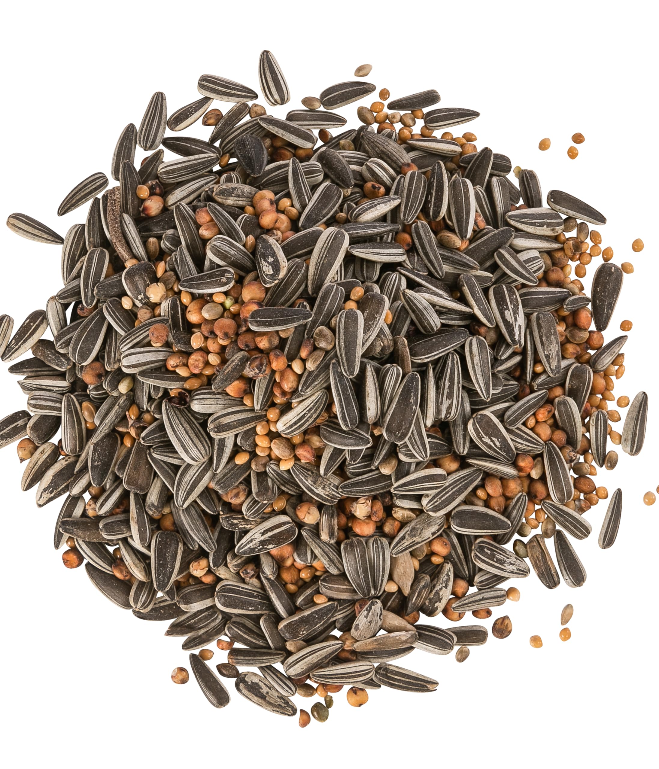 Fidelio Mangime per uccelli selvatici, mangime per cince, mangime energetico per tutte le stagioni, 10 x 1 kg