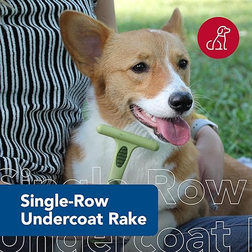 Miniatura 2 de Rastrillo Safari de dientes largos Coastal Pet, diseñado para razas de perro con pelaje medio