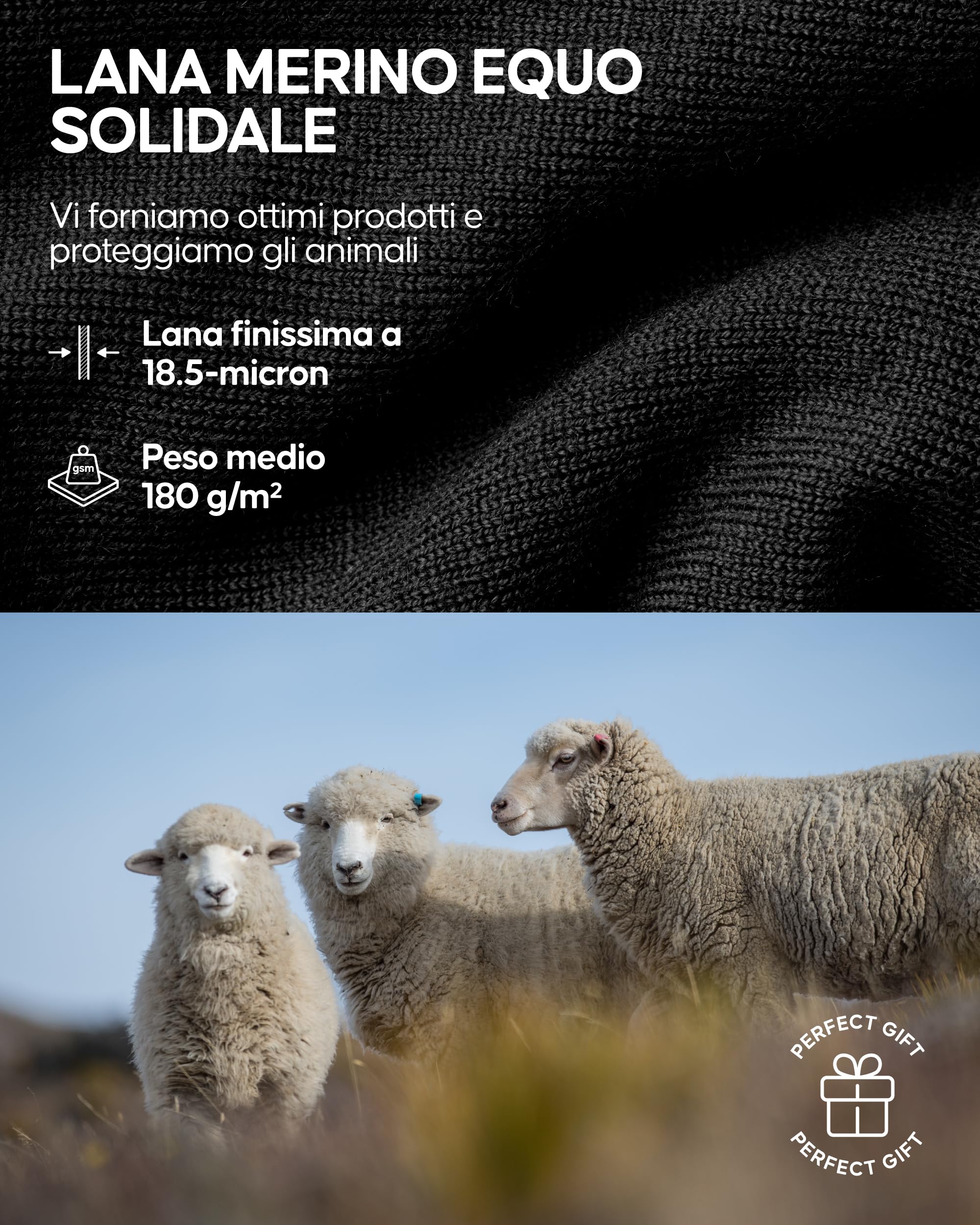DANISH ENDURANCE Maglia Termica Uomo in Lana Merino, Manica Lunga, per Sci, Trekking, Escursionismo con o Senza Chiusura Zip
