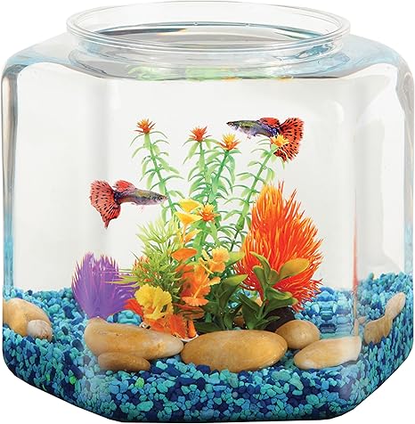 amazon fish tank