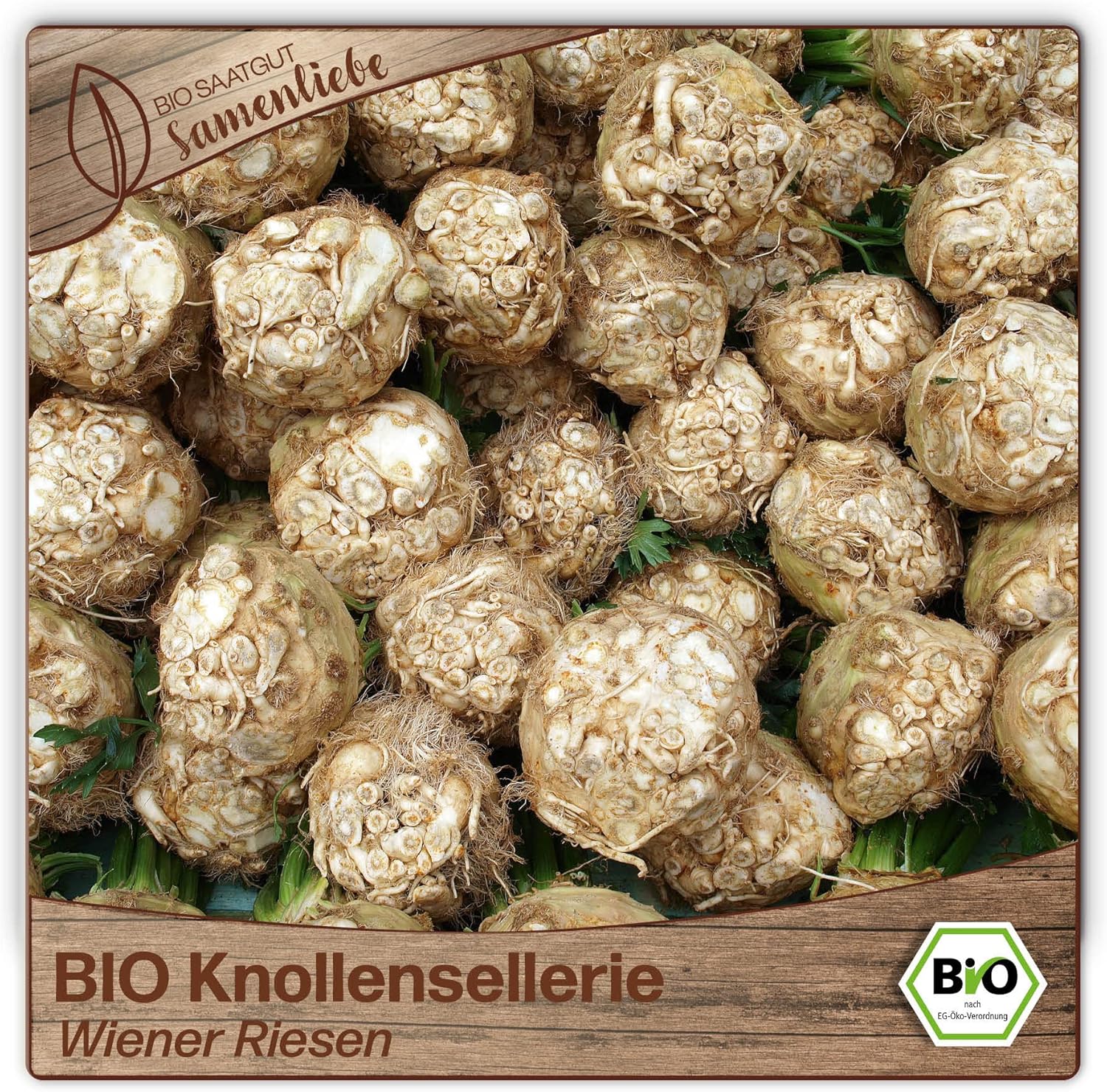 BIO Blumenkohl Samen ‚Weißer Schneeball‘ – Samenfest & Für Balkon & Beet!