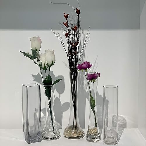 Miniatura 10 de WGV Gathering Bud - Jarrón de 3.3 pulgadas de ancho, 12 pulgadas de alto, transparente, alto, cóncavo, contenedor floral de vidrio cóncavo, maceta