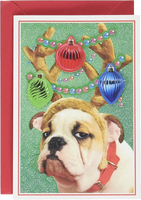 Hallmark Shoebox Funny Christmas Card (Bulldog in Reindeer Antlers): Buy Online at Best Price in UAE