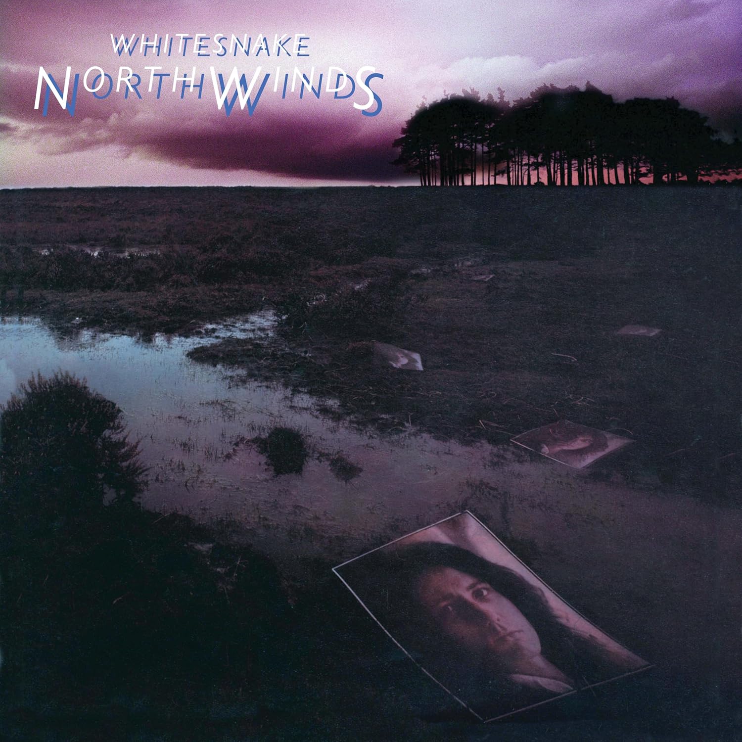 LP VINIL Whitesnake - NorthWinds por Whitesnake — capa do álbum