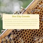 Grandma's For Bees | Honey and Lemon 80g - Pack of 4 | Old Fashioned Honey Drops