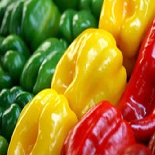 Blueberry Mojito - //medicalbooks.filipinodoctors.org