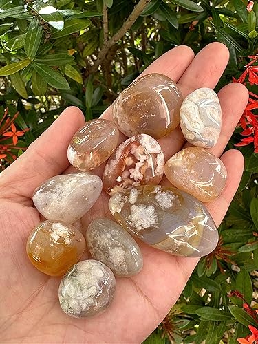 Miniatura 4 de AL POR MAYOR - Piedras pulidas de ágata de flores, piedras preciosas de ágata pulida, cristales curativos de ágata floral (ágata floral, 1 libra),