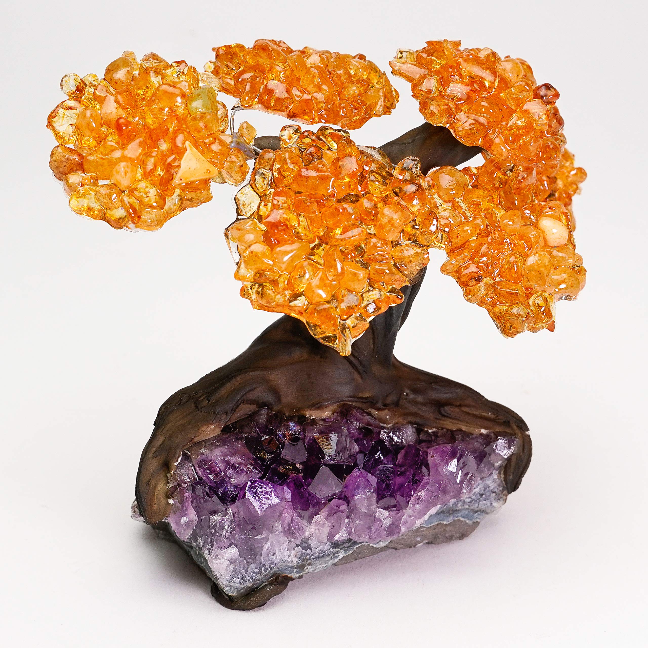 The Money Tree - Small Genuine Citrine Clustered Gemstone Tree on Amethyst Matrix
