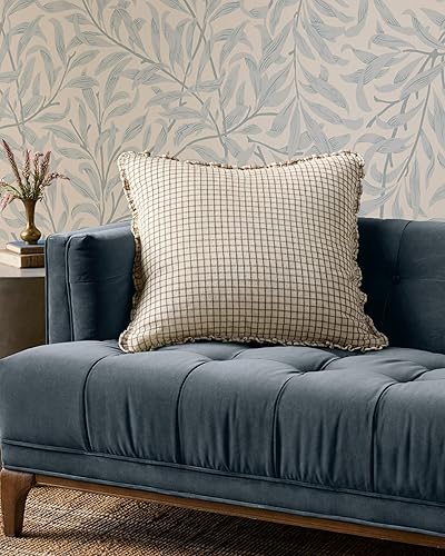 Loloi Almohada Dinah, 22 x 22 pulgadas, solo funda, marfiltierra