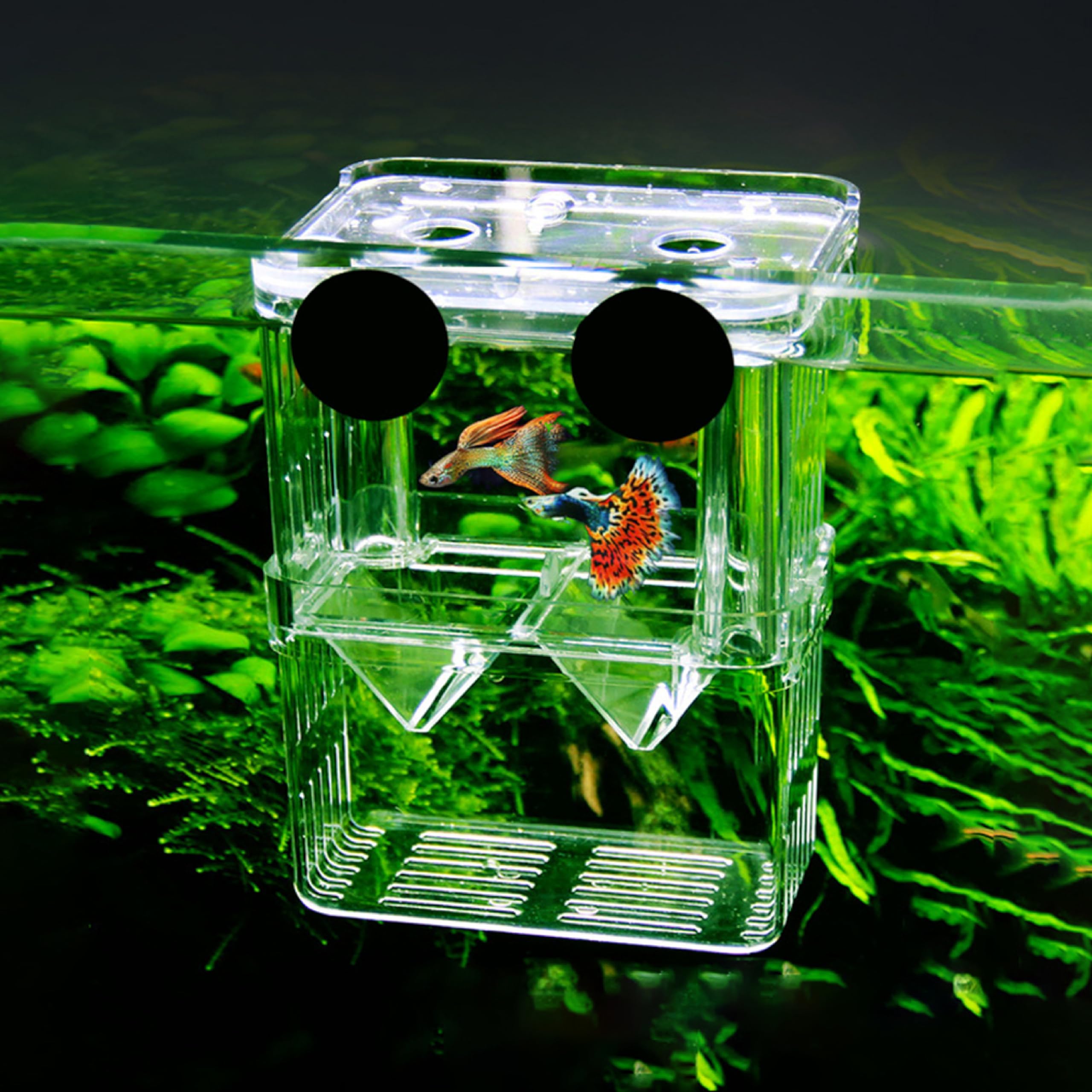 ANIMAUX Aquarium Fish Guppy Double Deck Breeding Box, Isolation Box for Fish(‎10.5 x 7.5 x 13.5) (Large, Rust Resistant, Pack of 1) for Separating Small Baby Fishes Shrimp Clownfishes (B0CDXMBGMK) Amazon Price History, Amazon Price Tracker