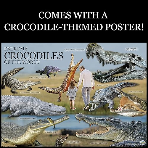 Miniatura 6 de WILD ENVIRONMENTAL SCIENCE Cocodrilos extremos del mundo - Para mayores de 6 años - Crea y personaliza modelos y dioramas - Estudia los animales más