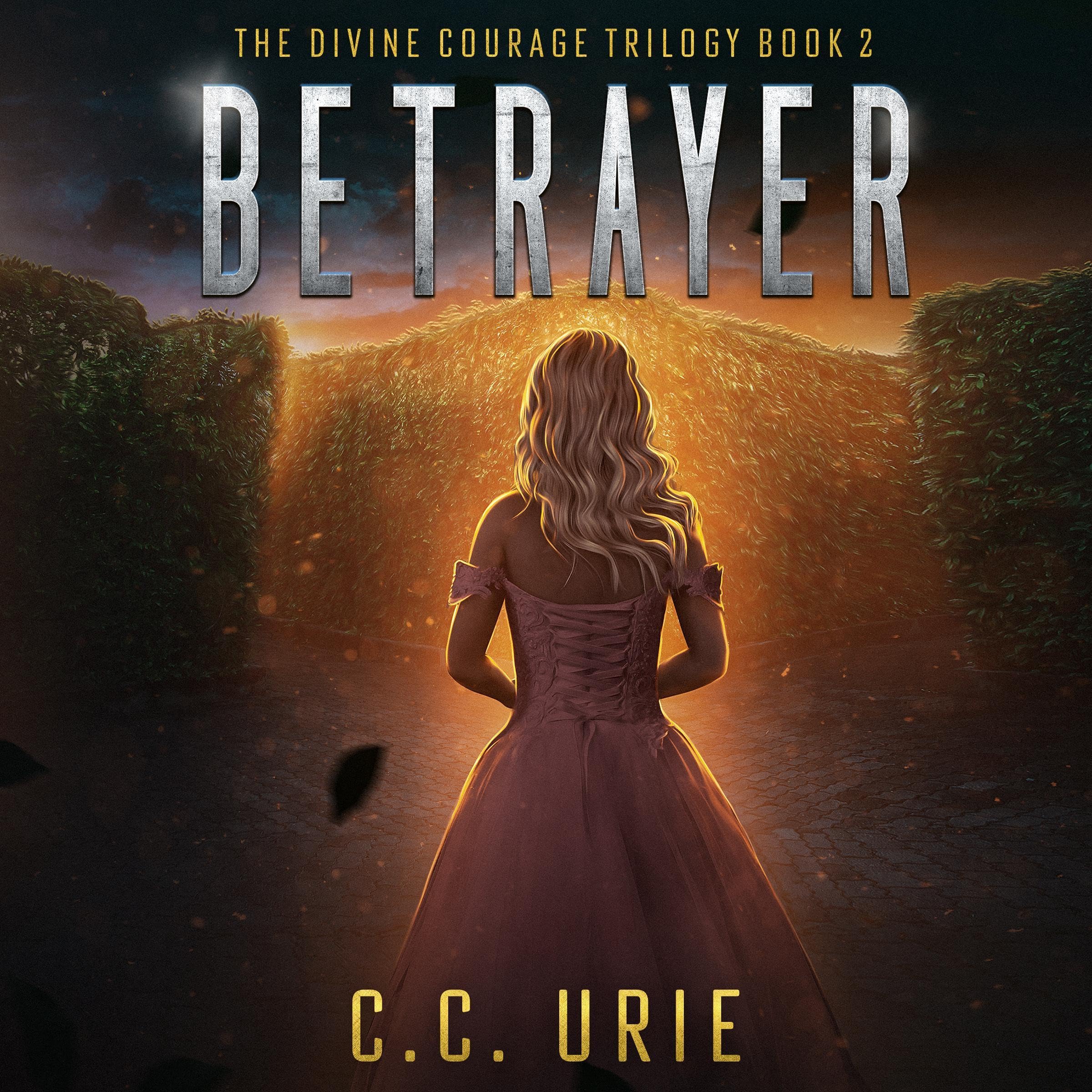 Cover art for Betrayer