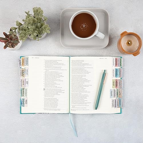 Miniatura 9 de Mr. Pen - Pestañas de la Biblia, 75 pestañas, laminados, suministros de diario bíblico, pestañas bíblicas antiguo y nuevo testamento, pestañas de la