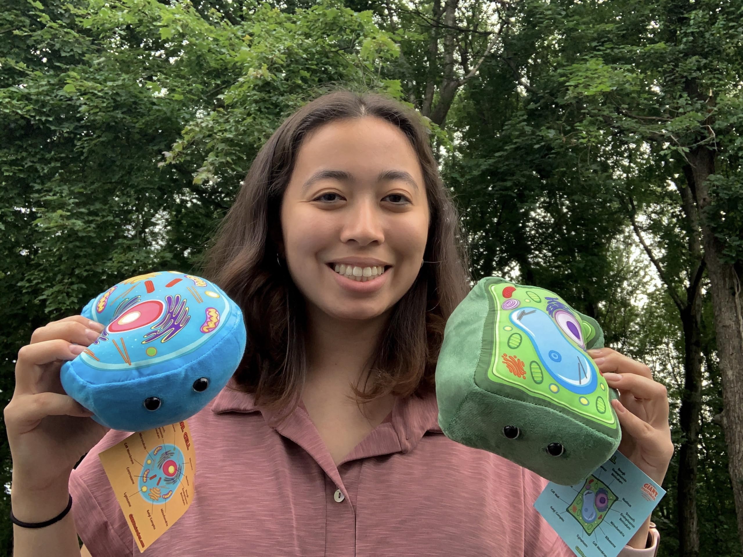 Amazon.com: GIANT MICROBES Animal Cell & Plant Cell Deluxe Pack