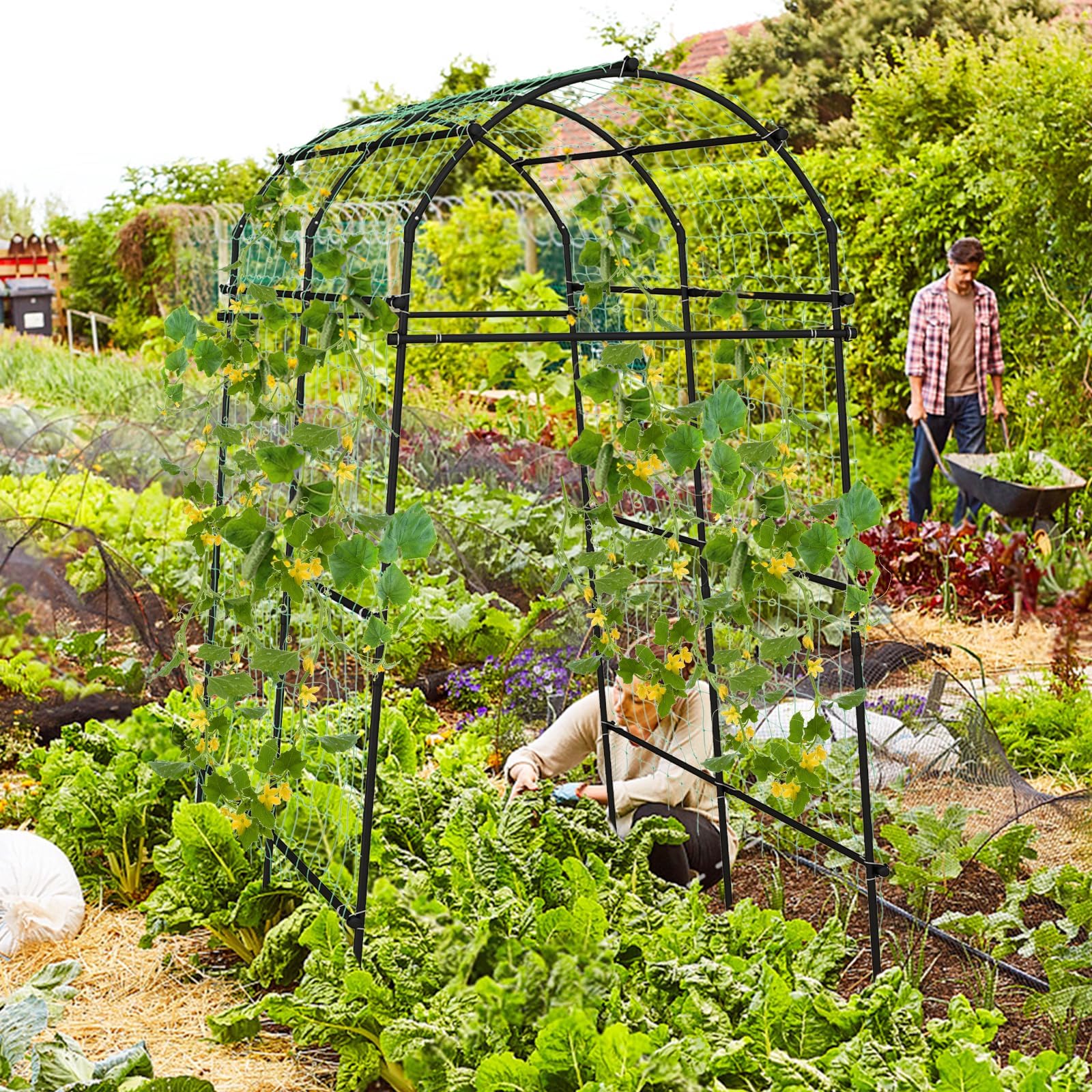FANTASK Treillis pour Plantes grimpantes - Arche de Jardin de 230 cm avec Structure métallique revêtue de polyéthylène - Arche de Jardin pour légumes, Fruits, Fleurs