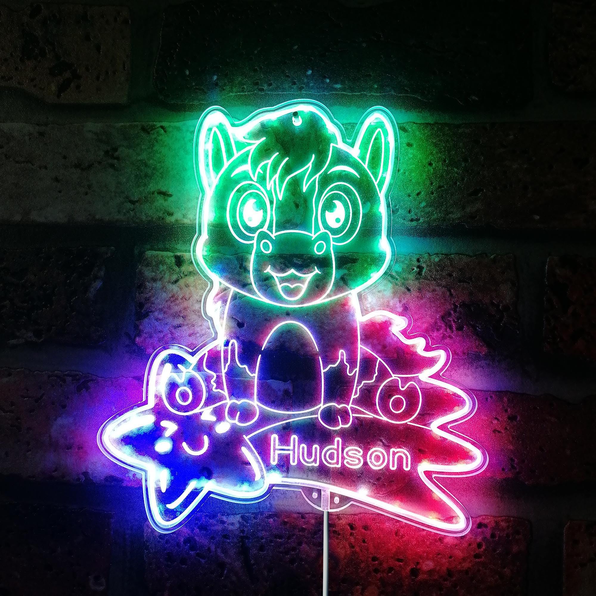 ADVPRO Name Personalized Horse RGB Dynamic Glam LED Sign - Cut-to-Edge Shape - Smart 3D Wall Decoration - Multicolor Dynamic Lighting - st06s44-fnd-p0015-tm