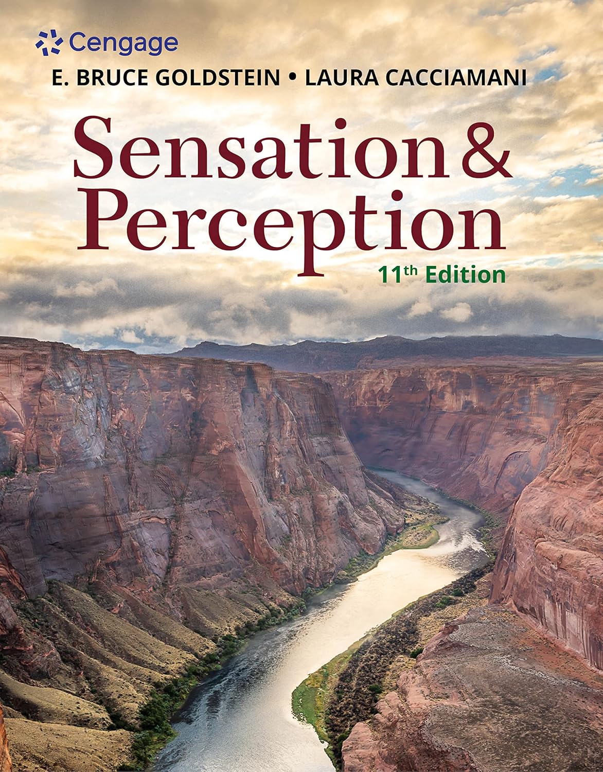 Sensation and Perception, 11th Edition - Instructor Resources (Instructor's Manual + Test Bank (LMS Packages) + Image Bank + PowerPoint Presentations) - img